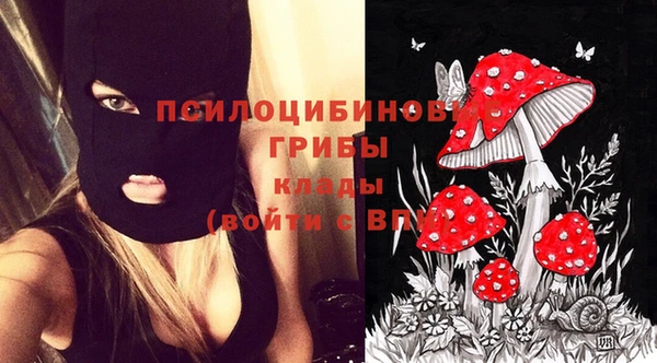 винт Новокубанск