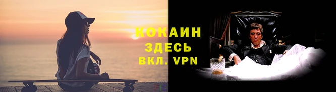 дживик Новодвинск