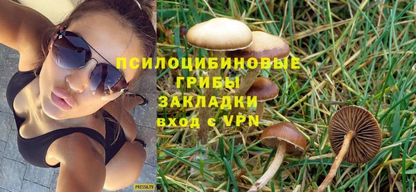 винт Новокубанск